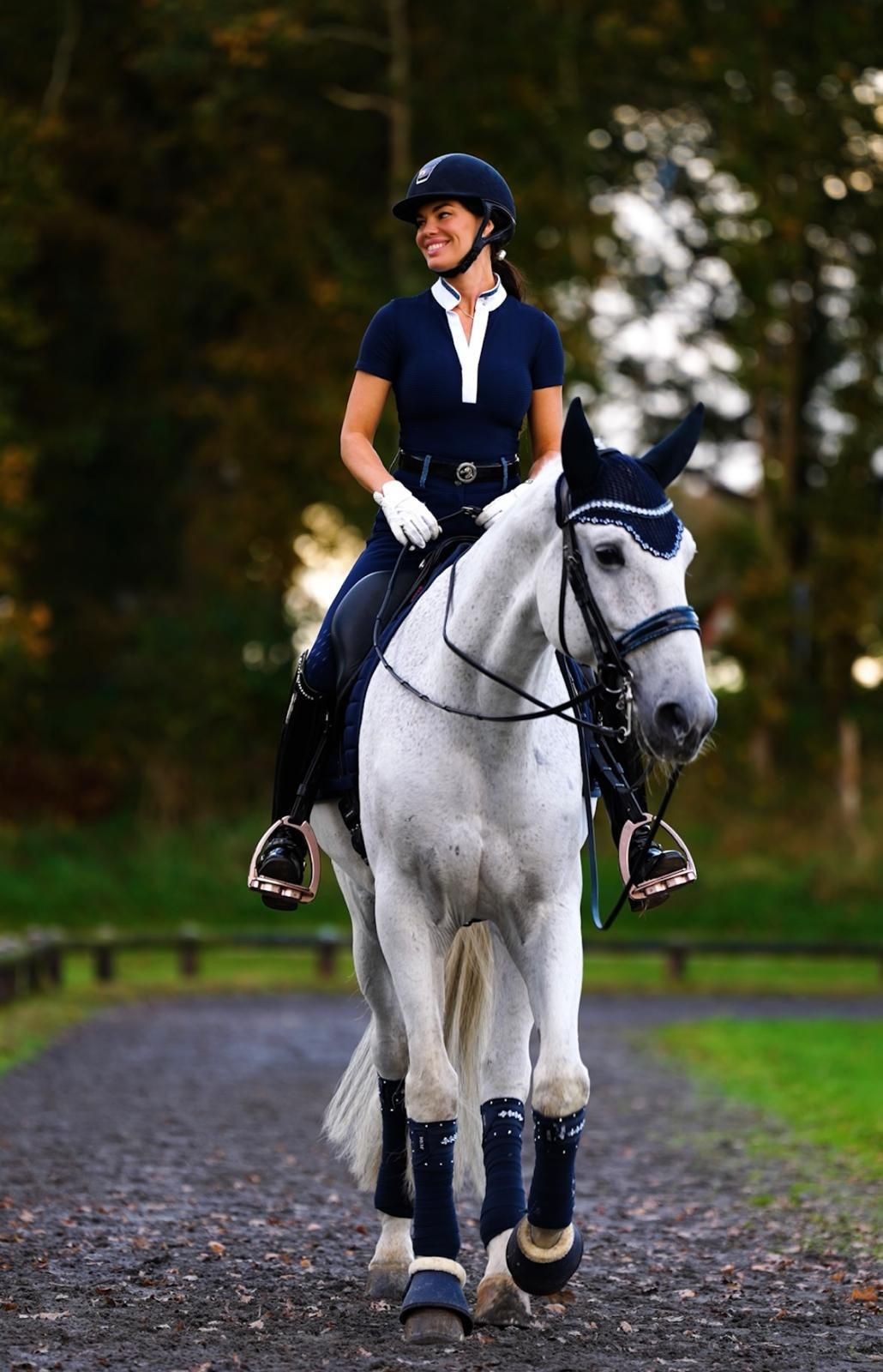 Horse in training and for sale with us